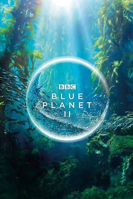 One ocean blue planet II