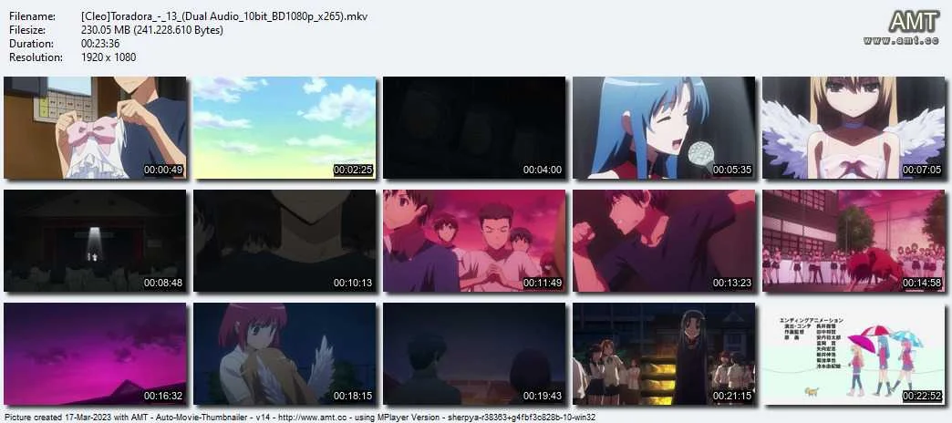 [Cleo]Toradora_-_13_(Dual Audio_10bit_BD1080p_x265).webp