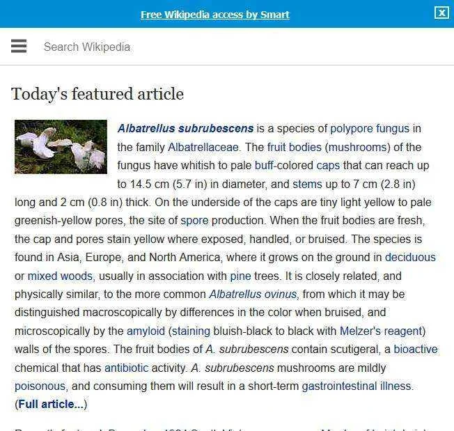 wiki.webp