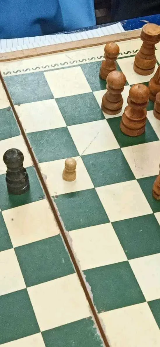 1679186479775.webp