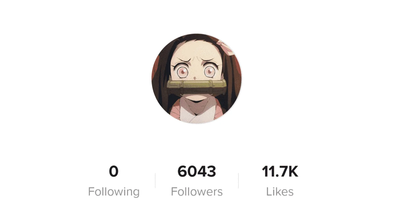 tiktok takip [5D01739].png