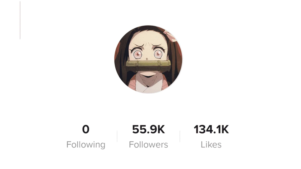 tiktok takip [081316A].png