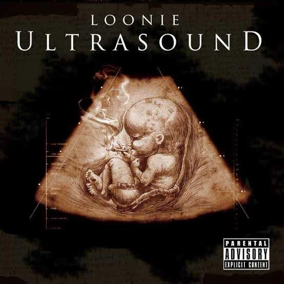 Ultrasound - Album by Loonie