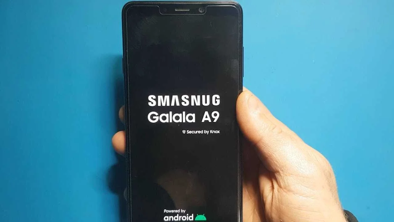 smasnug galala.webp