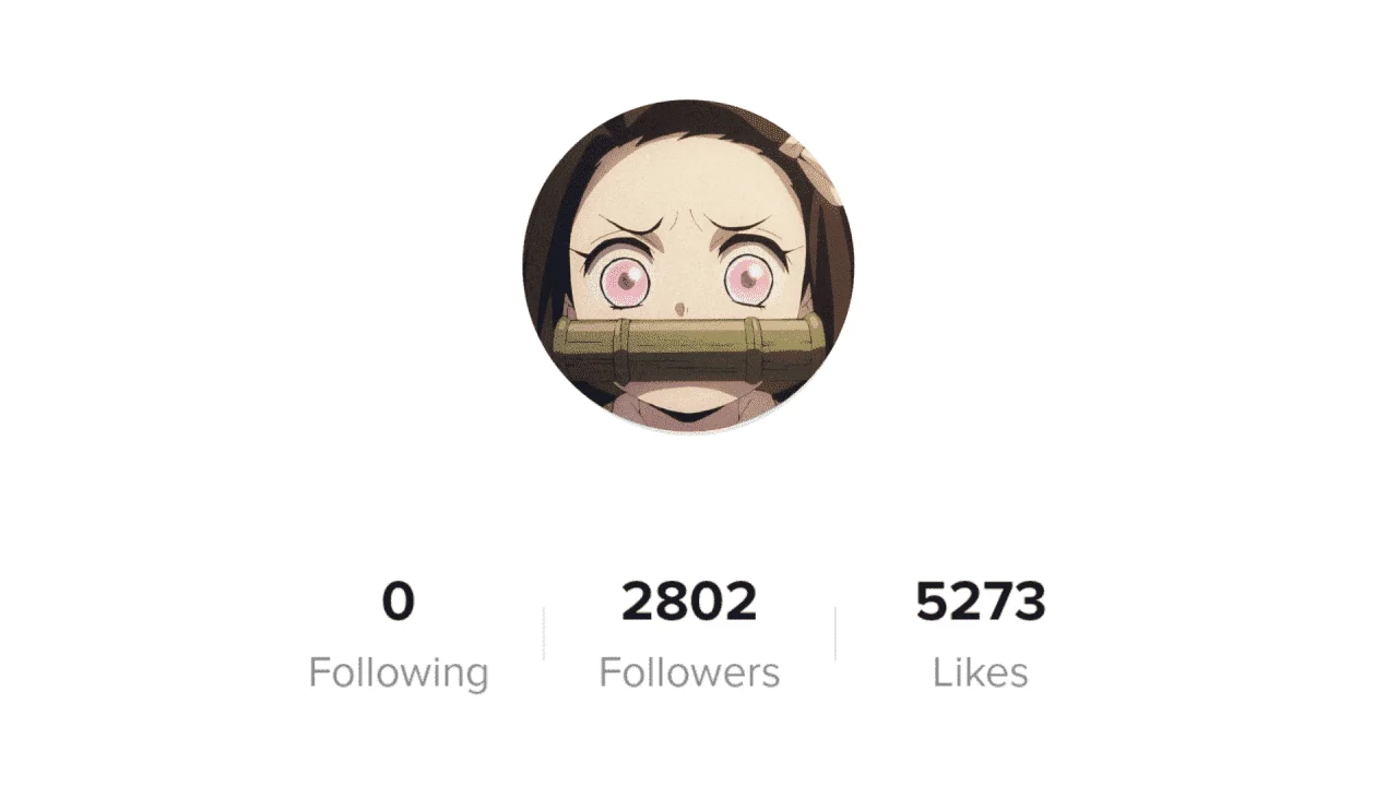 tiktok takip [FDECC06].webp