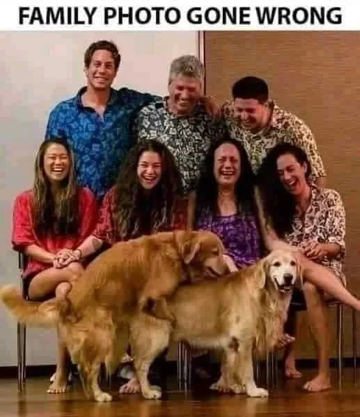 FB_IMG_1679712647612.webp