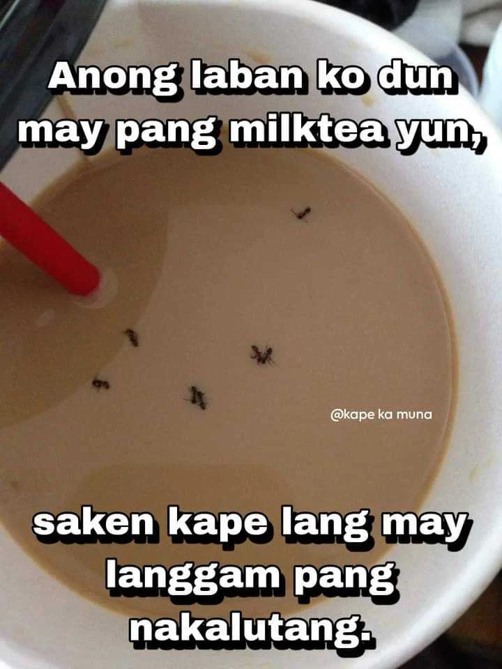 FB_IMG_1679738309543.webp