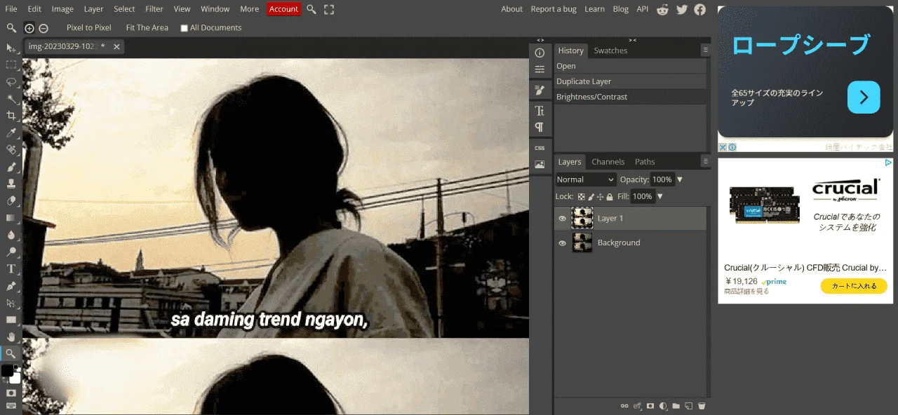 Screenshot 2023-03-29 at 15-24-59 Photopea Online Photo Editor.webp
