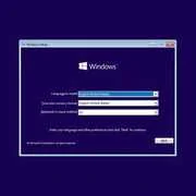 1.webp
