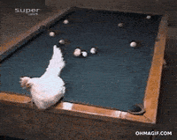 200w.gif