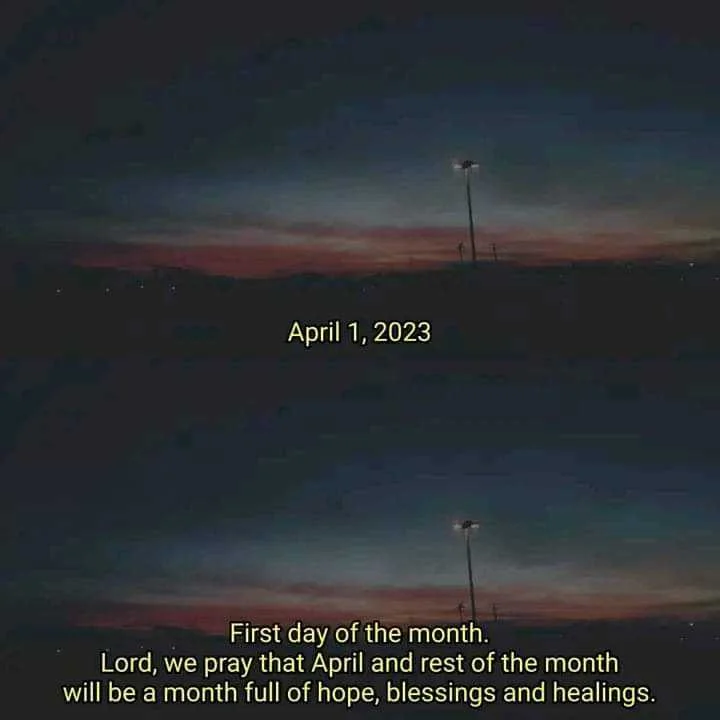 Picsart_23-04-01_08-46-06-279.webp