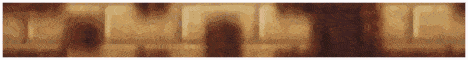 PHC Banner.gif