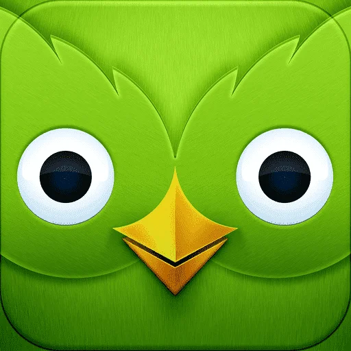 duolingo-2012-11-26.png