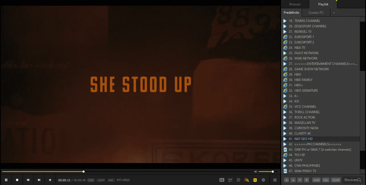 SS1.webp