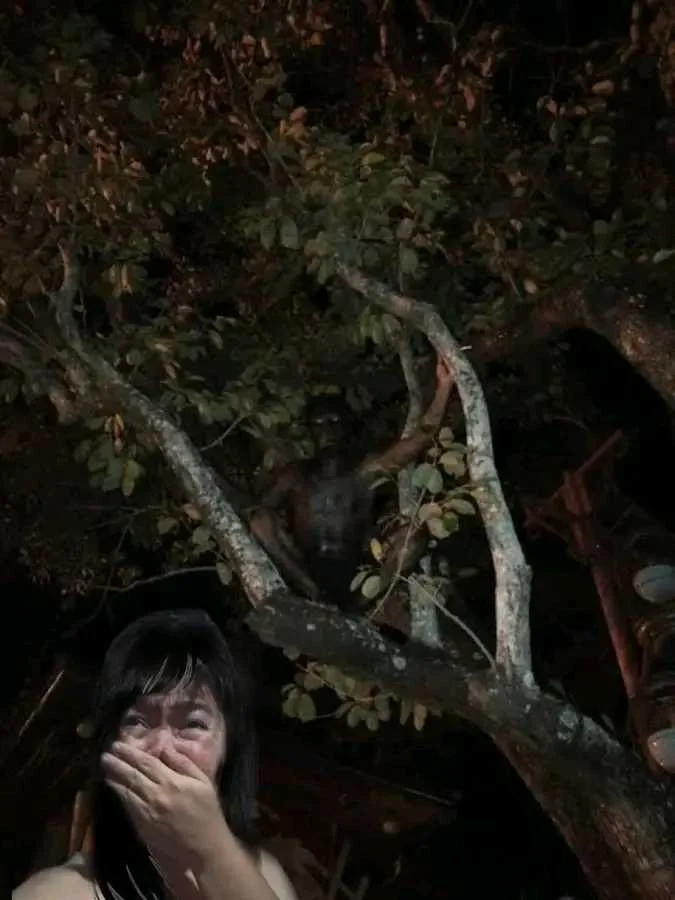 1681599744525.webp