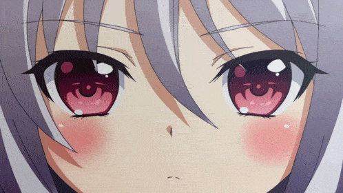 tumblr_muffu5JYDA1sze15wo1_500.gif