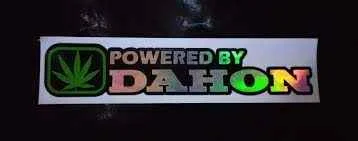 1682163069125.webp
