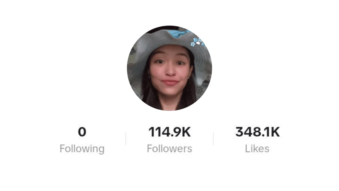 TikTok Account [E333BBD].png