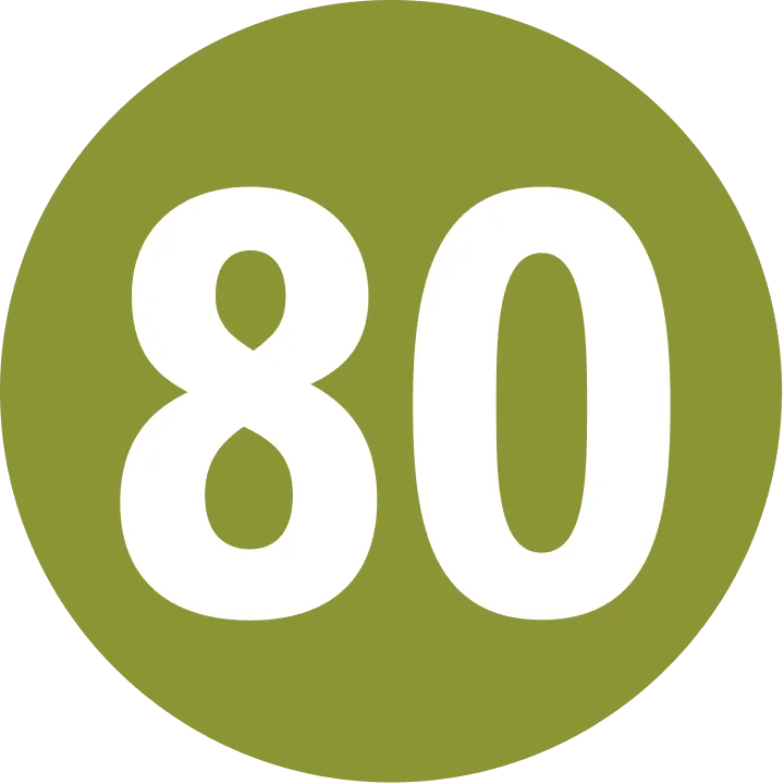 Erfurt_Bus_80.svg.png