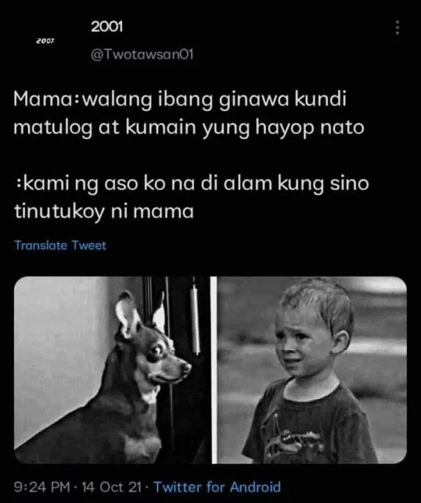 FB_IMG_1682985763779.webp