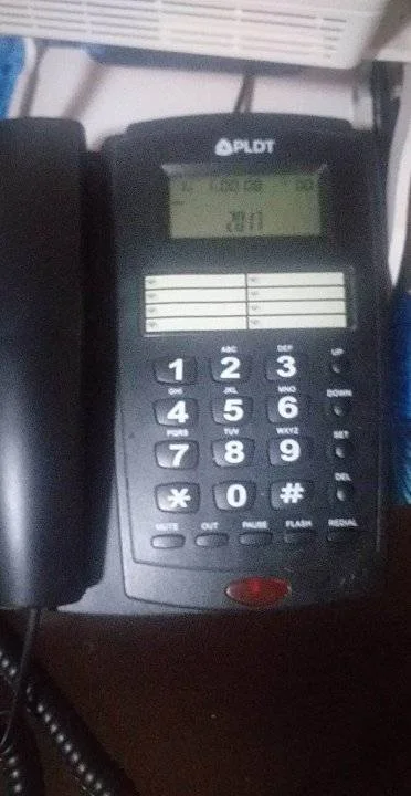 342599651_536948128410267_4050648093818215218_n (1).webp