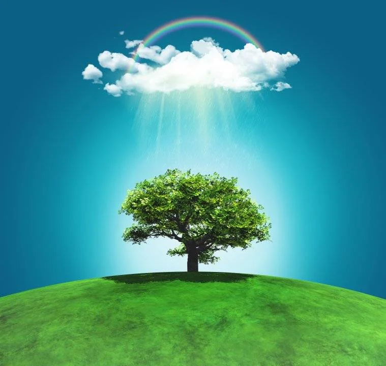 grassy-landscape-with-tree-raincloud.webp