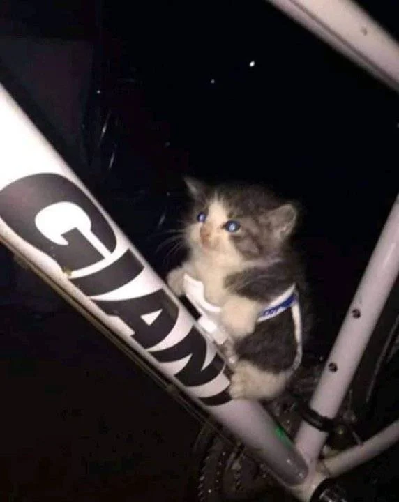 FB_IMG_1683630936640.webp