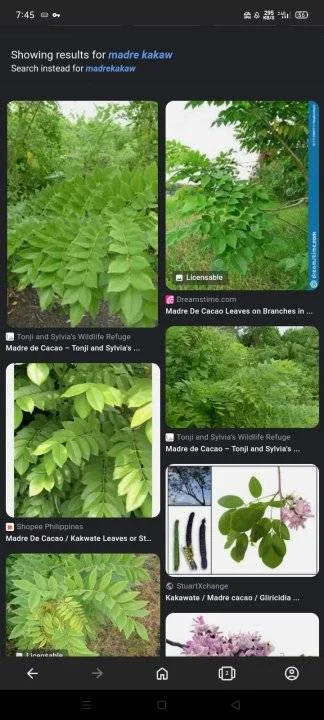 Screenshot_2023-05-09-19-45-39-90.webp