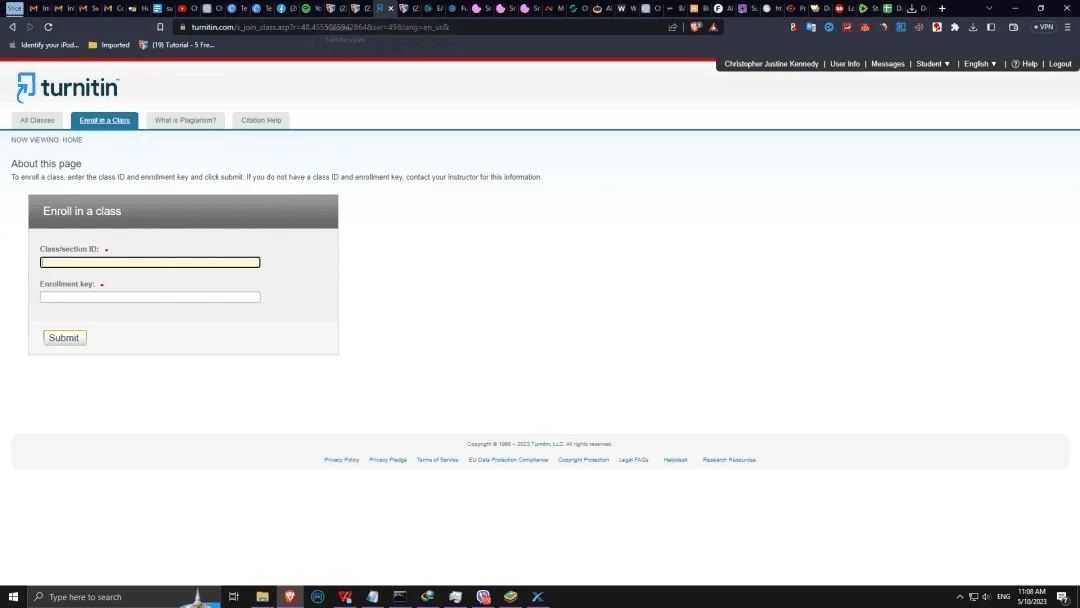1683688132463.webp