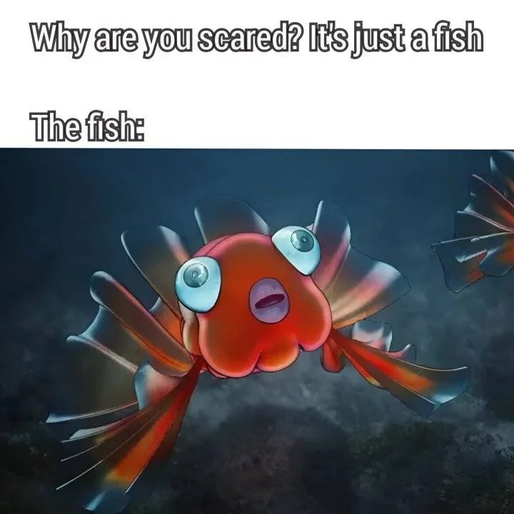 346070949_241956945181823_6217109596299343392_n.webp