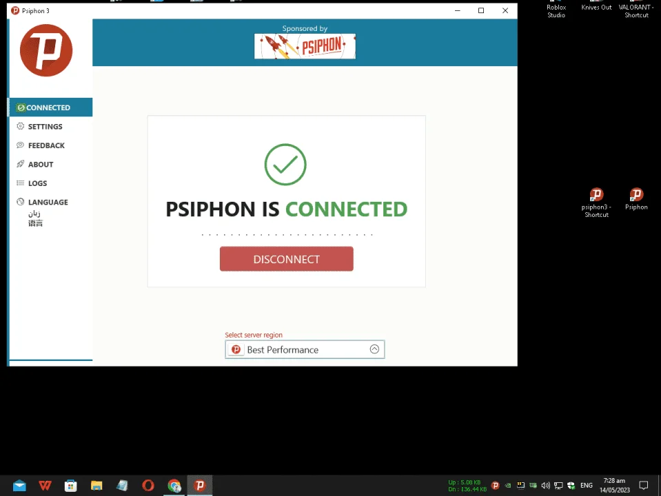 1684020784351.webp