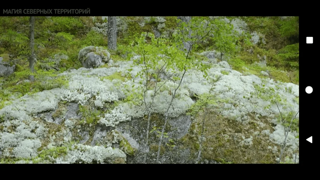 Screenshot_20230516-002758.webp