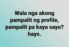 1684419109119.webp