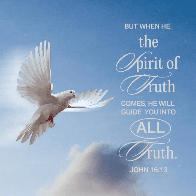 1684974778076.webp