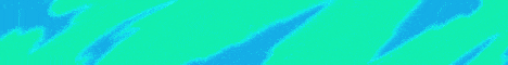standard (3).gif