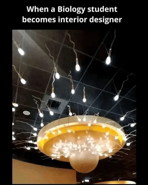 1685291577407.webp