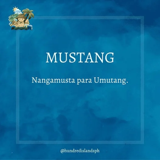 1685520732411.webp
