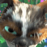 200w.gif