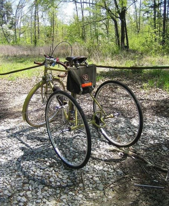 TAYLORTRIKE.webp