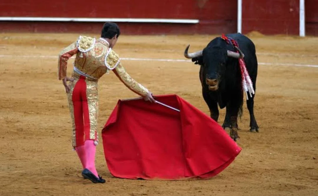 Screenshot_2023-06-04-19-58-49-555.webp