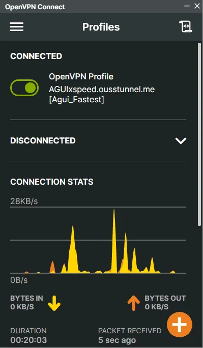 OVPNUDP2.webp