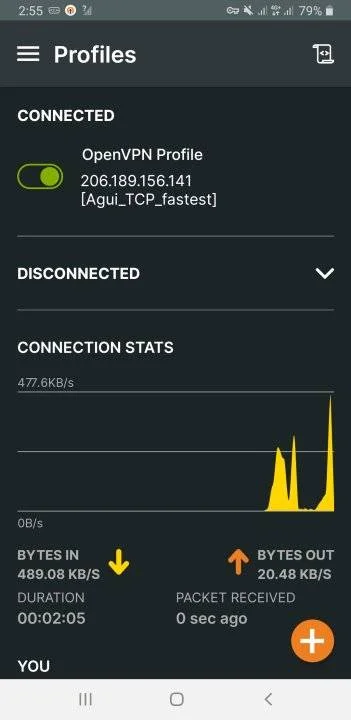 Screenshot_20230606-025527_OpenVPN Connect.webp