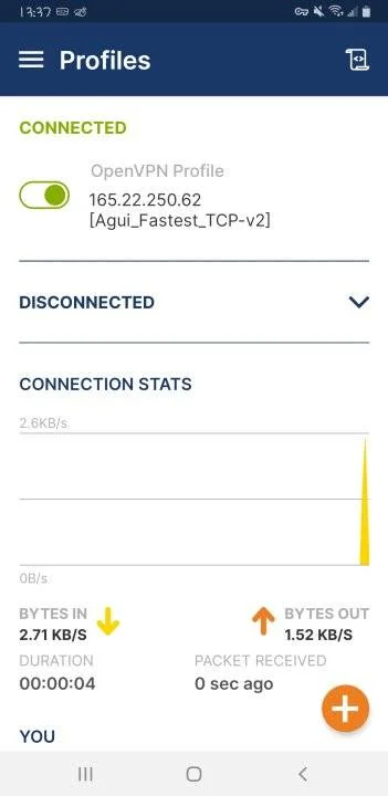 Screenshot_20230606-133757_OpenVPN Connect.webp