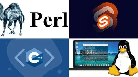 1686069936917.webp