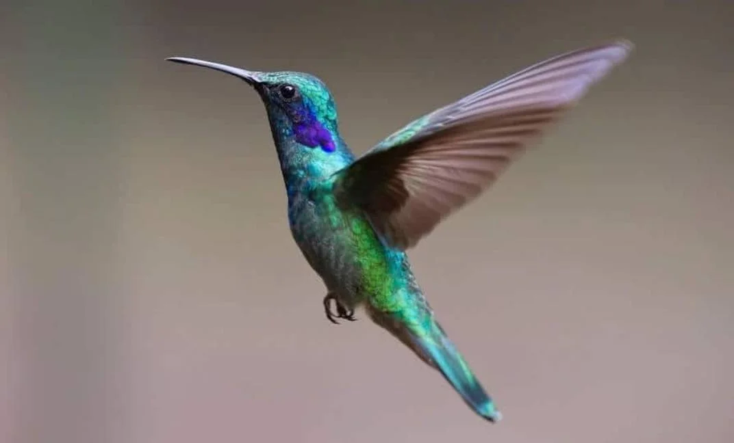 Screenshot_2023-06-07-09-13-29-687.webp