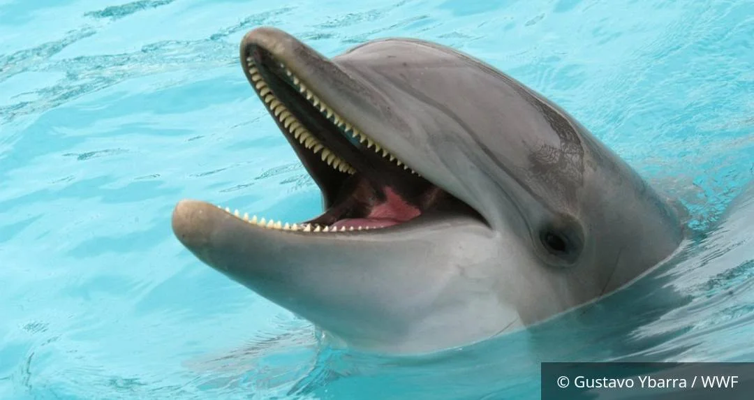 Screenshot_2023-06-08-18-40-28-496.webp