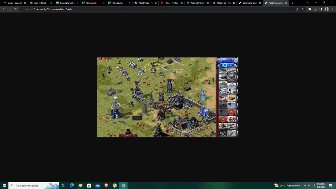 1686237750807.webp