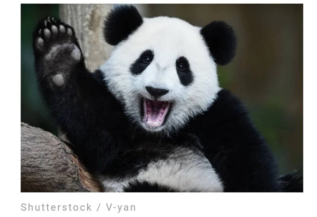 Screenshot_2023-06-08-23-52-50-814.webp