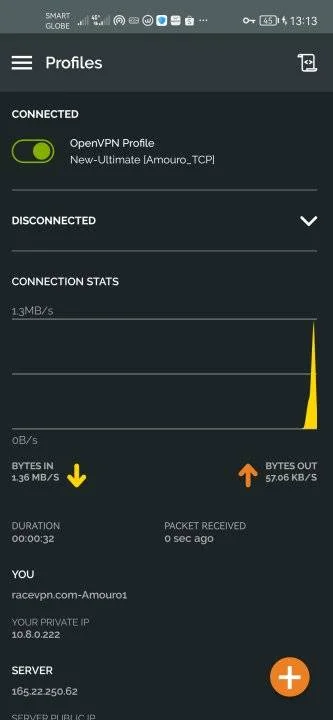Screenshot_20230609_131356_net.openvpn.openvpn.webp