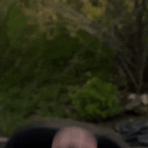 received_790340555930962.gif